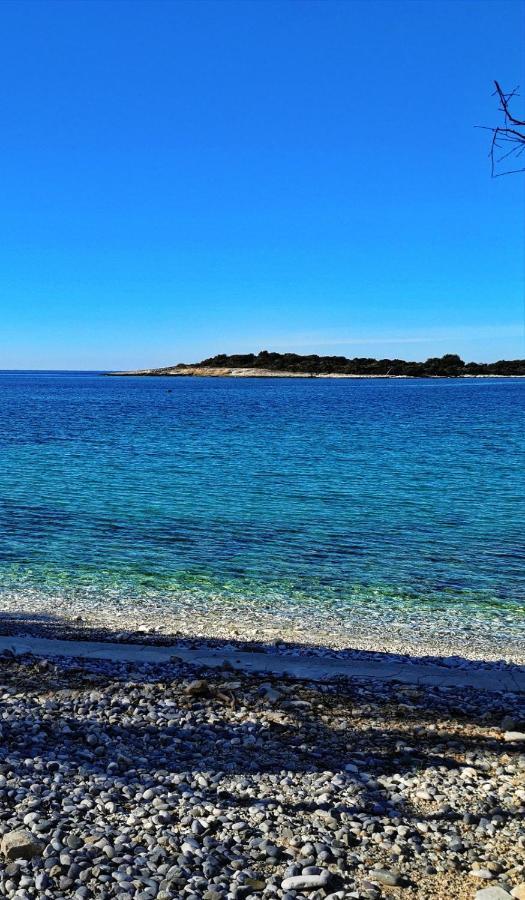 Black Pearl - Luxury Seaside App With Pool & Bbq, Istra Banjole Exterior photo