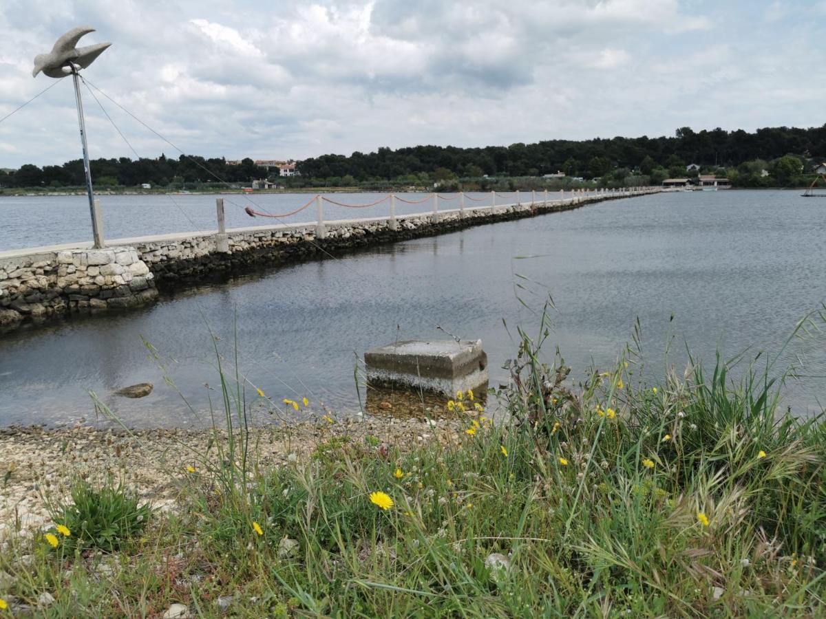 Black Pearl - Luxury Seaside App With Pool & Bbq, Istra Banjole Exterior photo